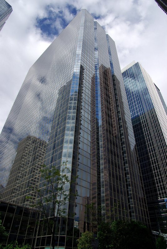 IMGP9172.jpg