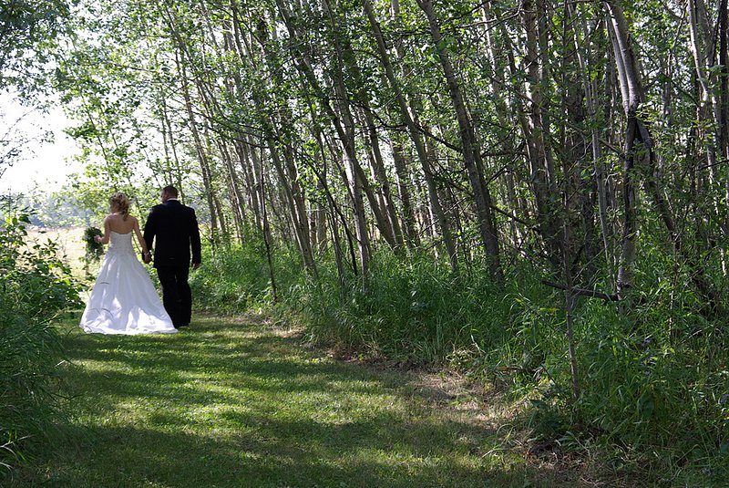 Breton  Alberta Wedding Photography 20.jpg