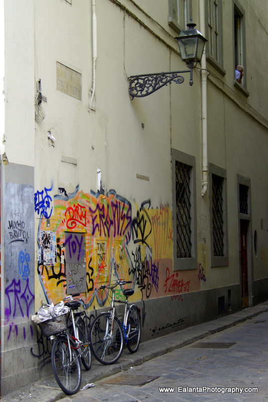 IMGP8366-11.jpg