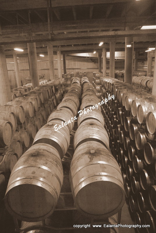 Botti di vino  IMGP7994-22 sepia.jpg