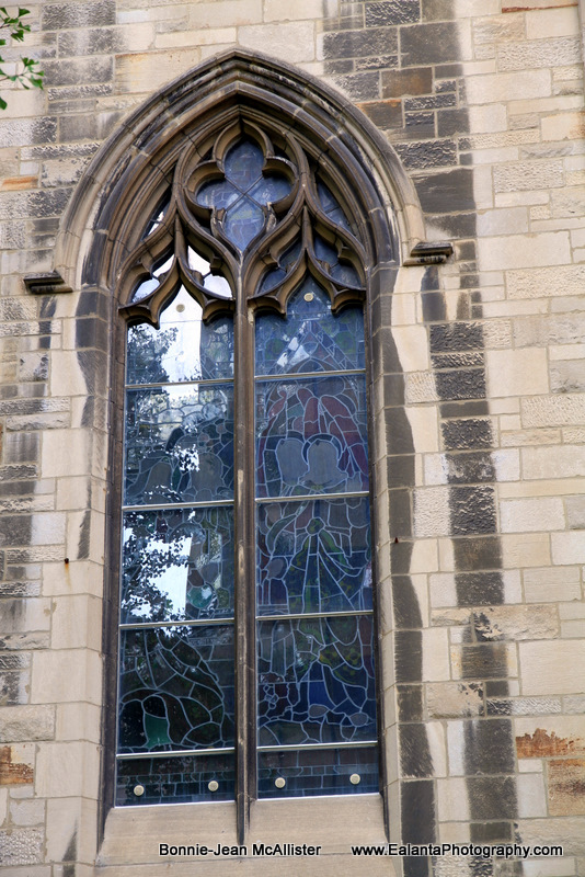 IMG_88914.jpg