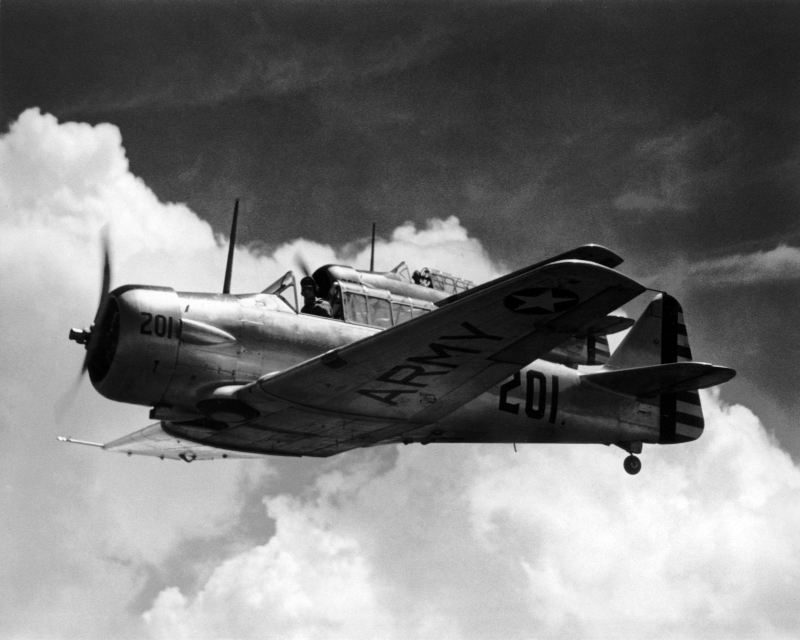 AVIATION 1-065 aerial view of two WW II T-6 trainers in formation c.jpg