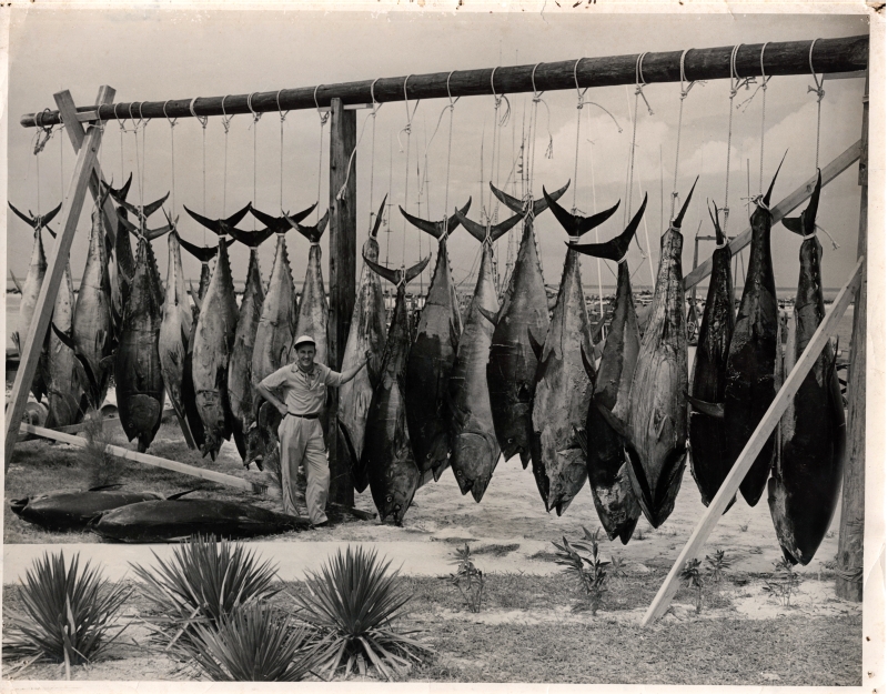 CCE 3-224 standing w one days tuna catch at Cat Kay c. 1937 SFOP.jpg
