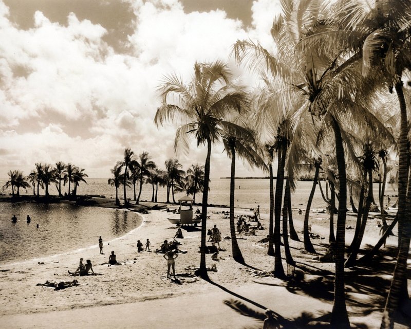 LANDSCAPES  SCENICS 8-40 Miami beach scene shot with early infrared film c. 1940s.1.jpg
