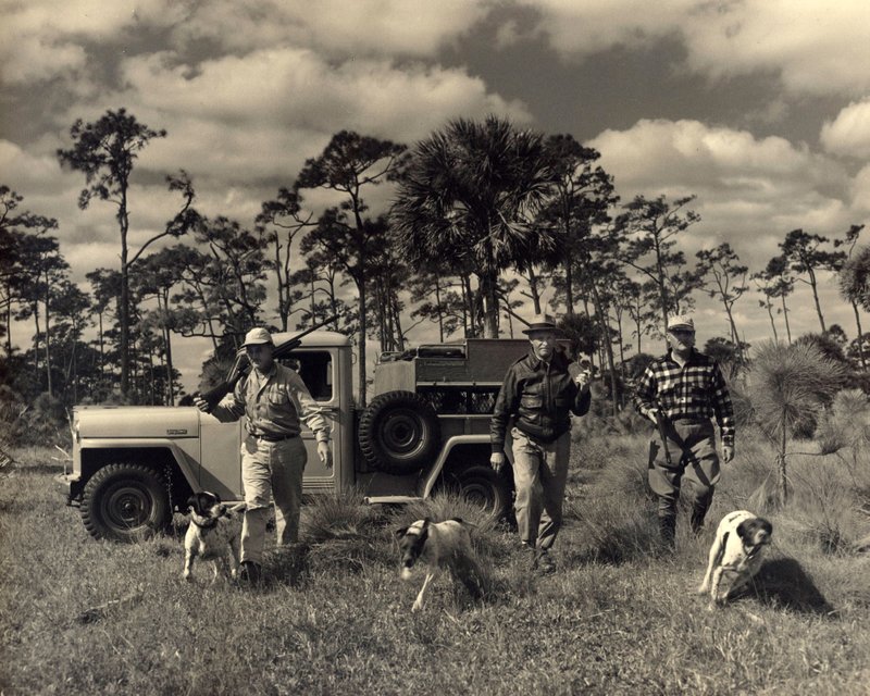SPORTS hunting 16-33 three hunters with dogs heading into Everglades c. 1940..jpg