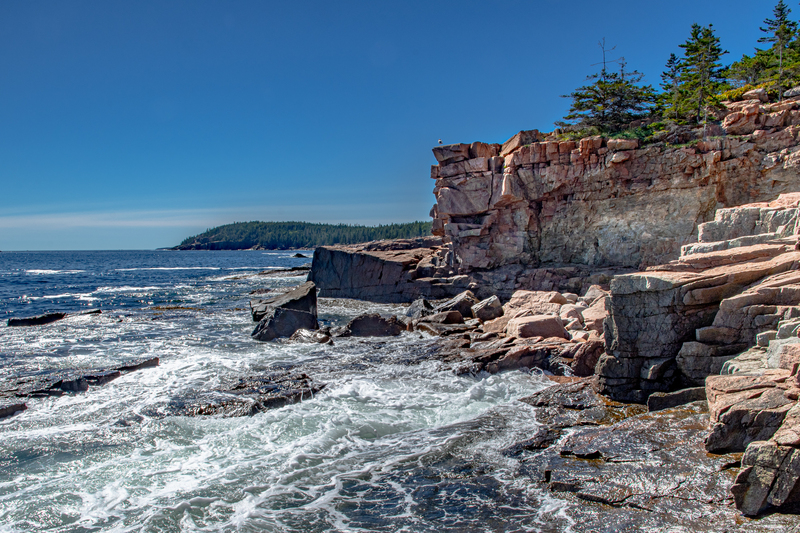 Acadia Coastline(1).jpg