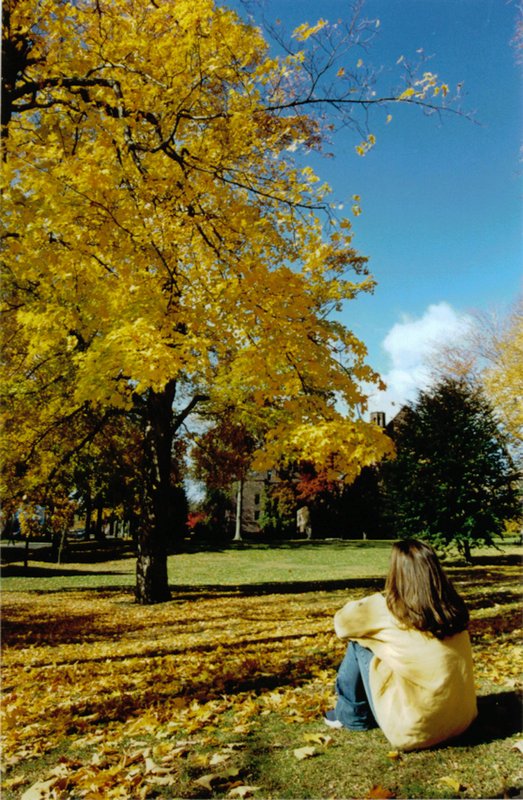 Autumn at Mt Holyoke.jpg