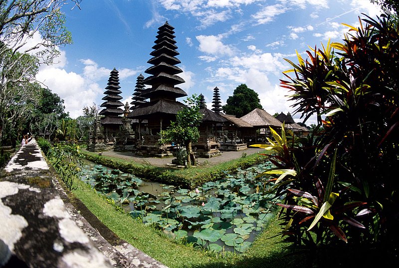 Bali 12.jpg