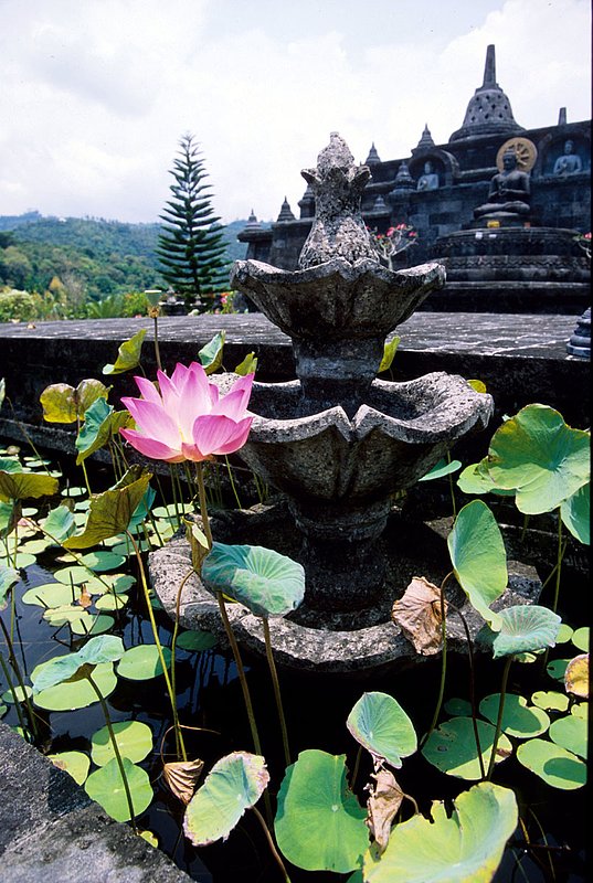 Bali 16.jpg