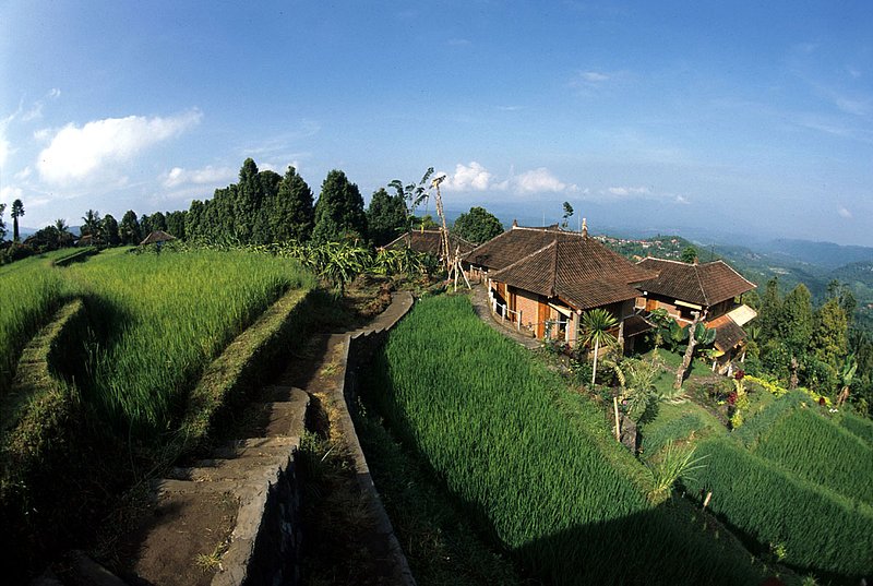 Bali 17.jpg
