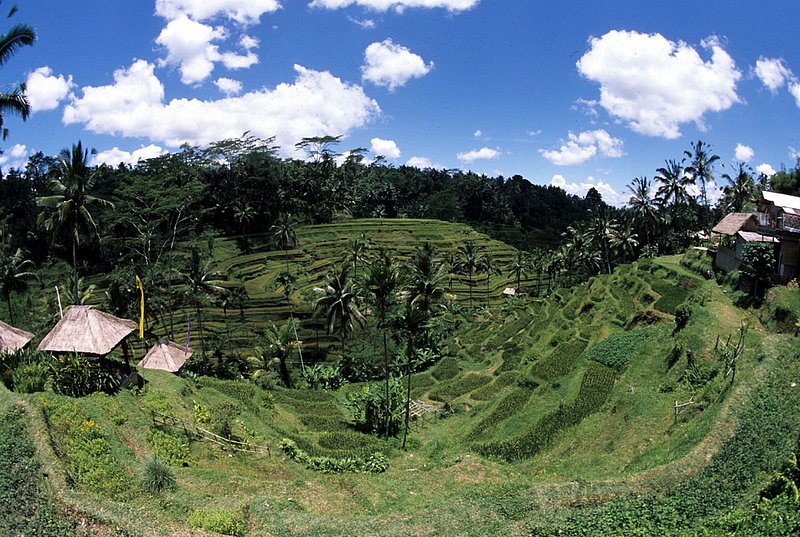 Bali 18.jpg