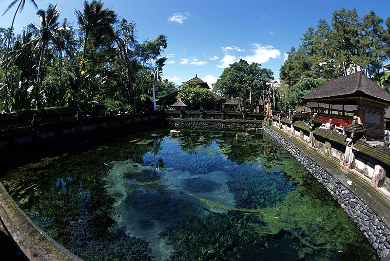 Bali 19.jpg