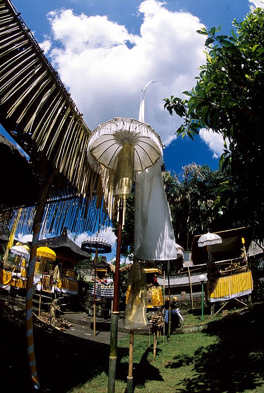 Bali 24.jpg