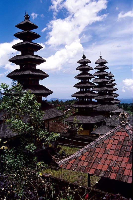 Bali 5.jpg