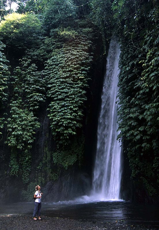 Bali 8.jpg