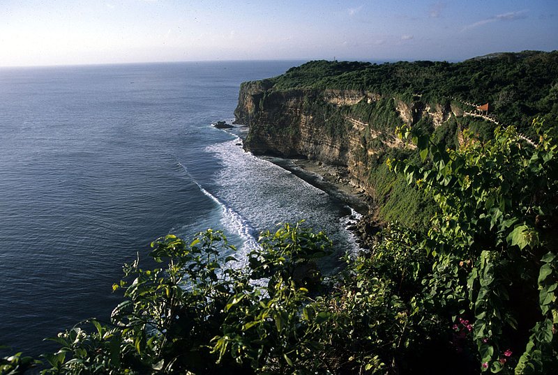 Bali 9.jpg