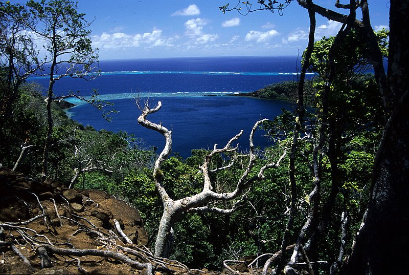 Fiji 1.jpg