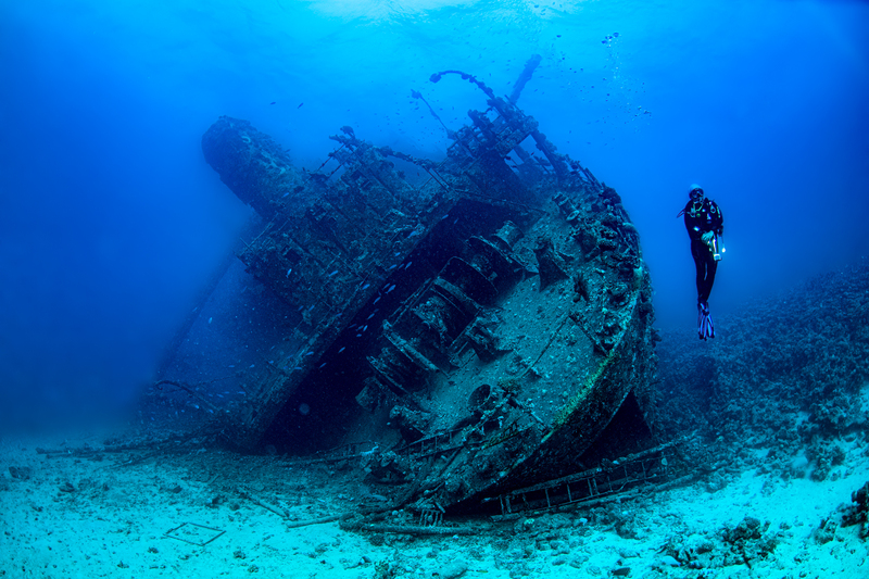 Gianis D Wreck(1).jpg