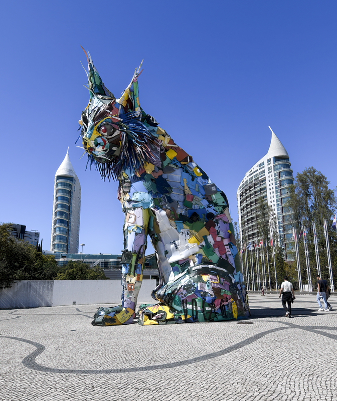 Iberian Lynx(1).jpg