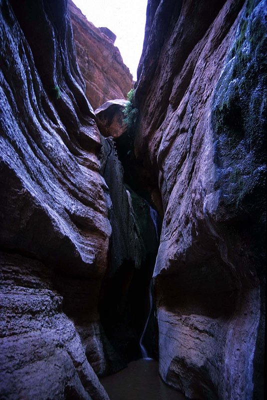Image 13a.jpg