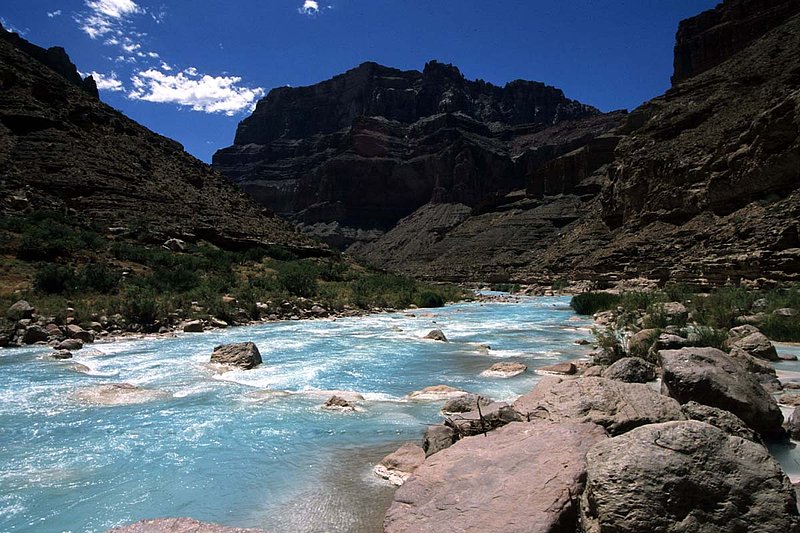Image 42a.jpg