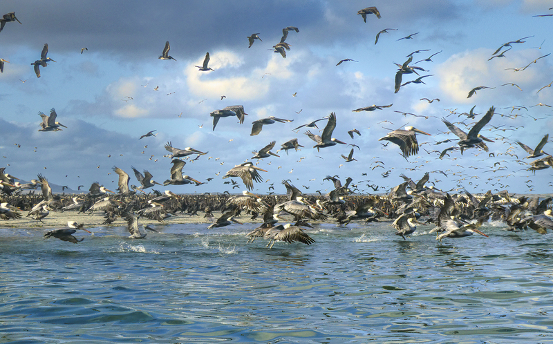 Magdalena Bay_(1).jpg