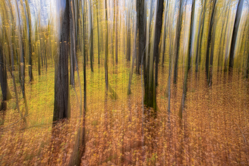 Motion Blur(1).jpg