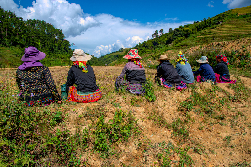 Mu Cang Chai 2.jpg