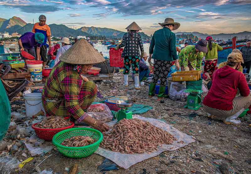 Nha Trang Fish Market.jpg