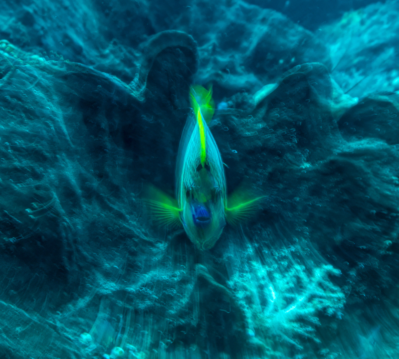 Ocean Art 11.jpg