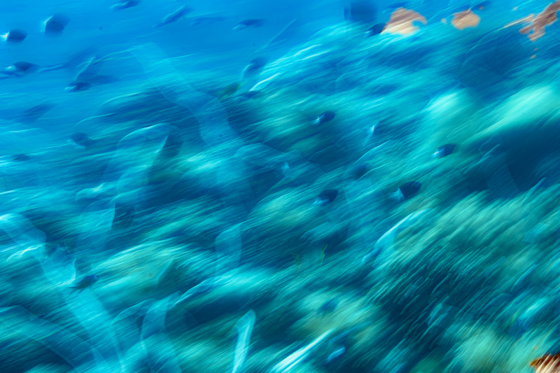 Ocean Art 12.jpg