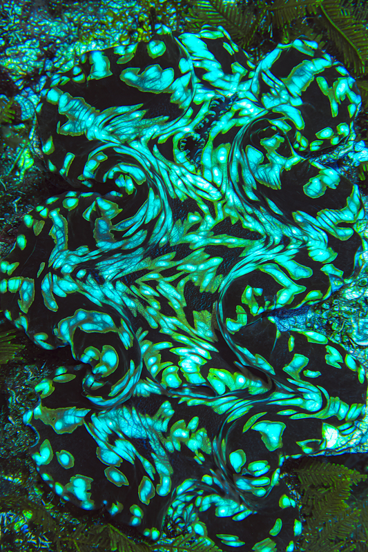 Ocean Art 15(1).jpg
