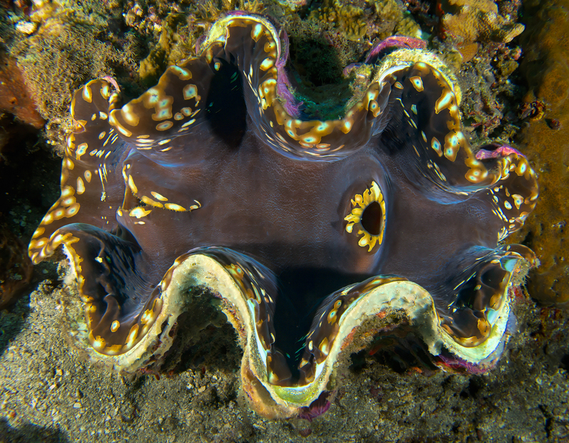 Ocean Art 4.jpg