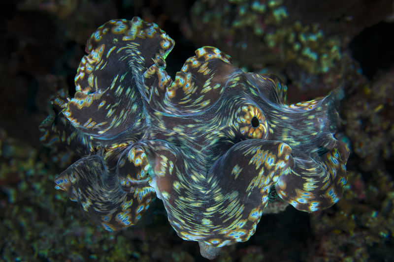 Ocean Art 7.jpg