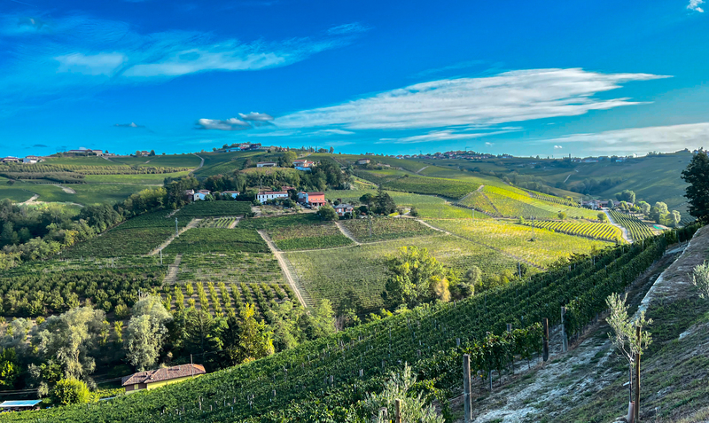 Piedmont 1(1).jpg