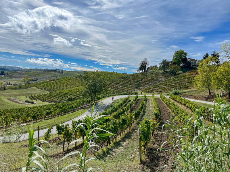 Piedmont 2(1).jpg