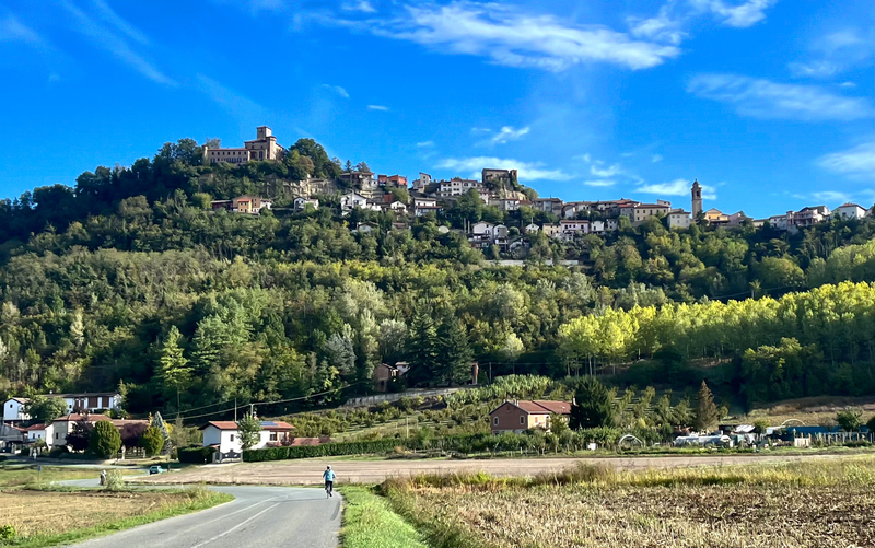 Piedmont 3(1).jpg