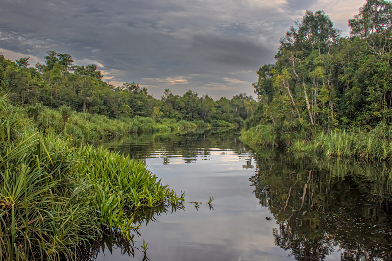 Sekonyer River(1).jpg