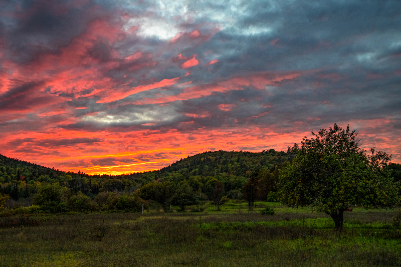 Sunset(1).jpg
