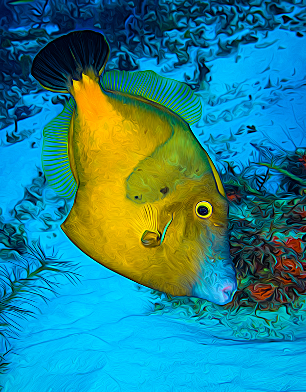 ocean art 1-11.jpg