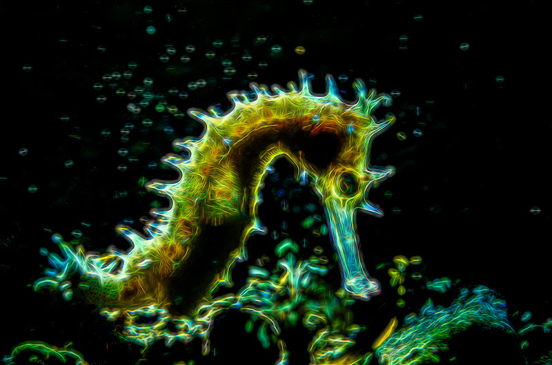 ocean art 1-15.jpg
