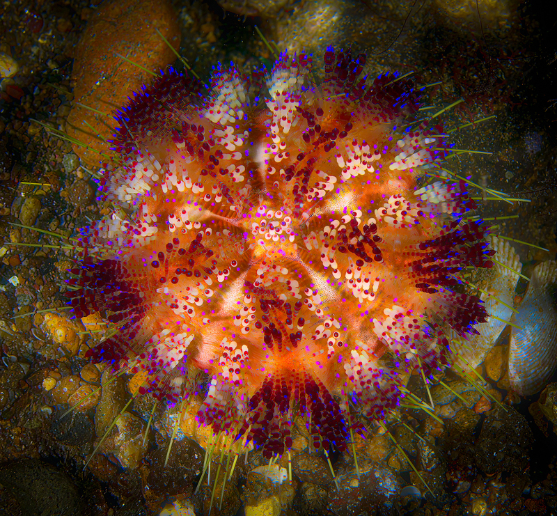 ocean art 1-18.jpg