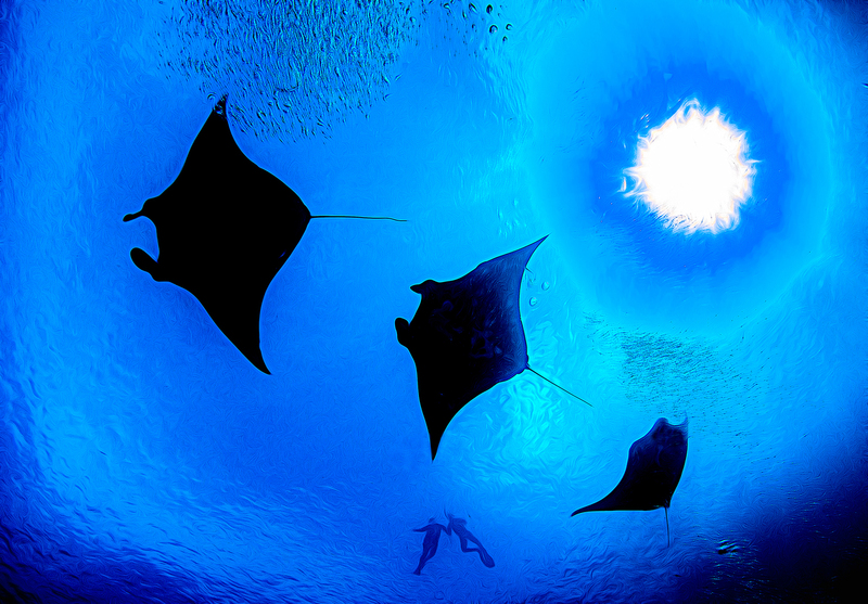 ocean art 1-2.jpg