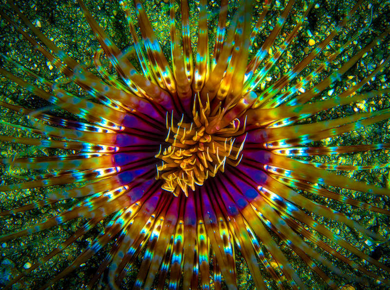 ocean art 1-20.jpg