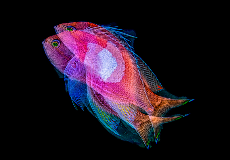ocean art 1-21.jpg