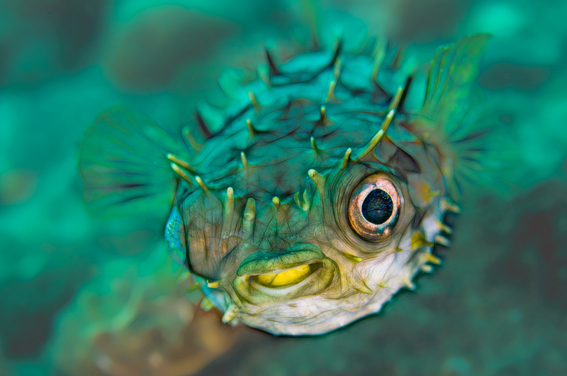 ocean art 1-22.jpg