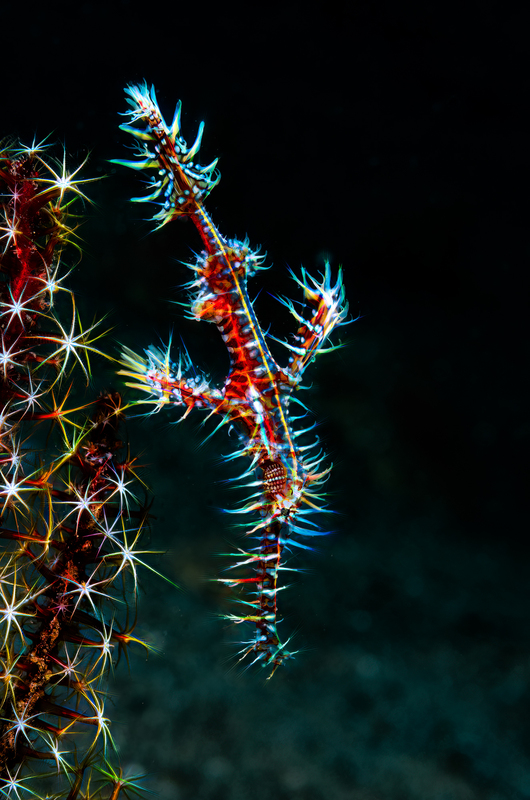 ocean art 1-24.jpg