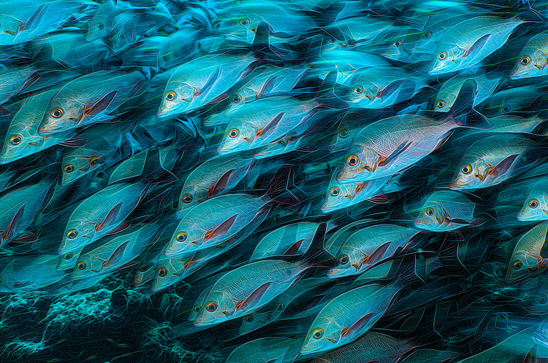 ocean art 1-25.jpg