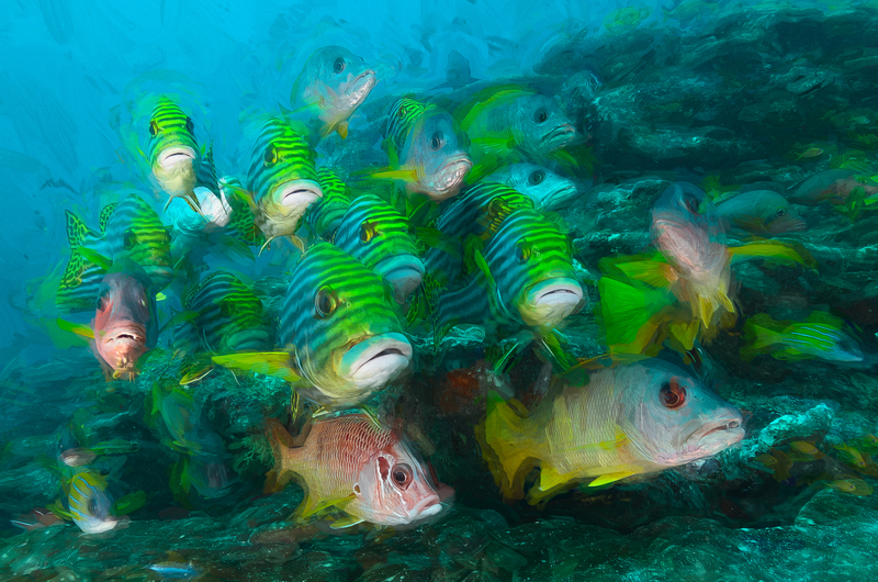 ocean art 1-27.jpg