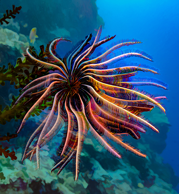 ocean art 1-30.jpg